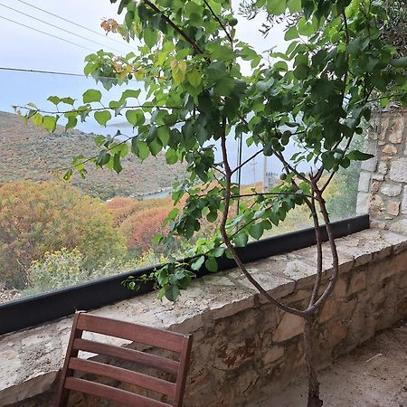 Vila D Boutique Hotel Qeparo Buitenkant foto